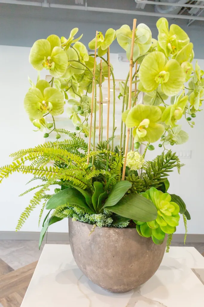 Orchid, Winnetka IL Office, Lakeside Oral & Facial Surgery
